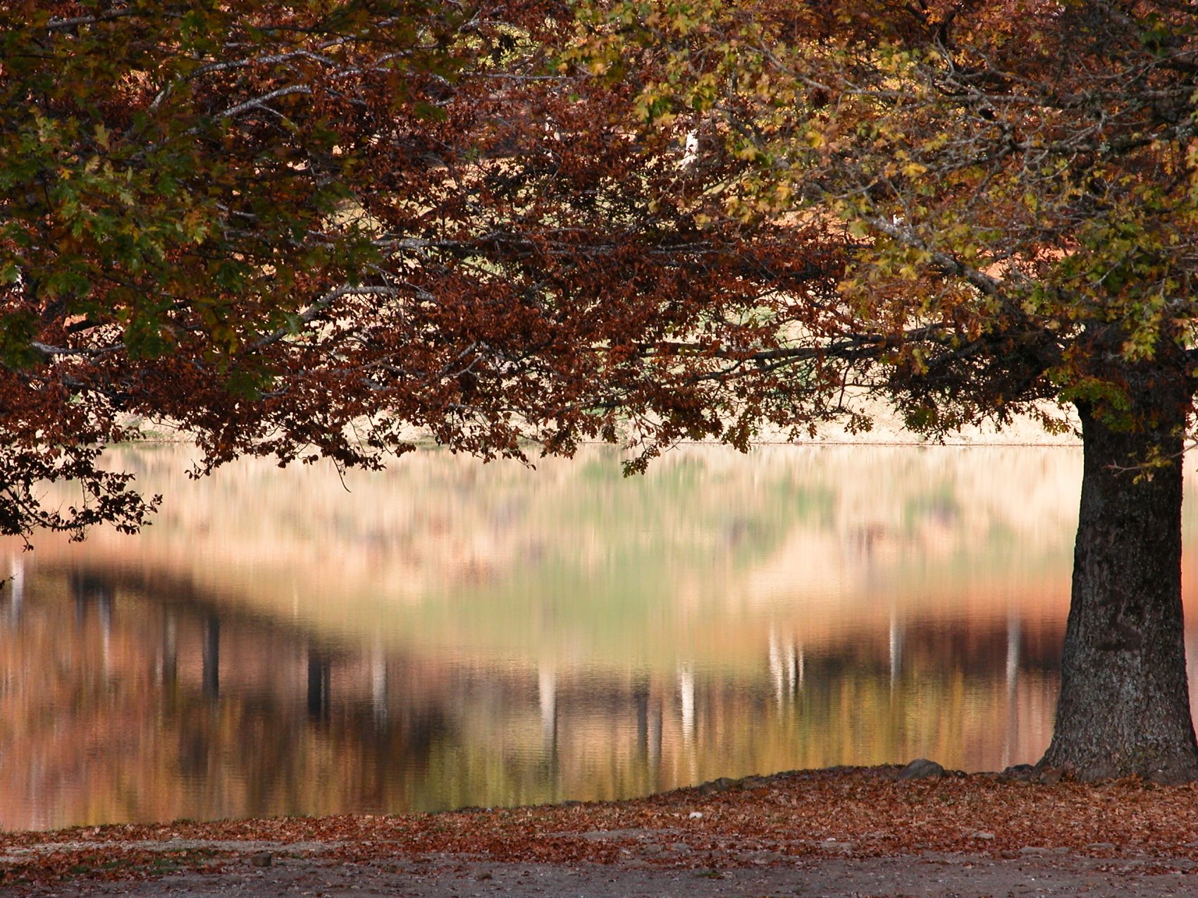 Riflessi d’autunno Lago Maulazzo, Cesarò (Messina) - photo A032